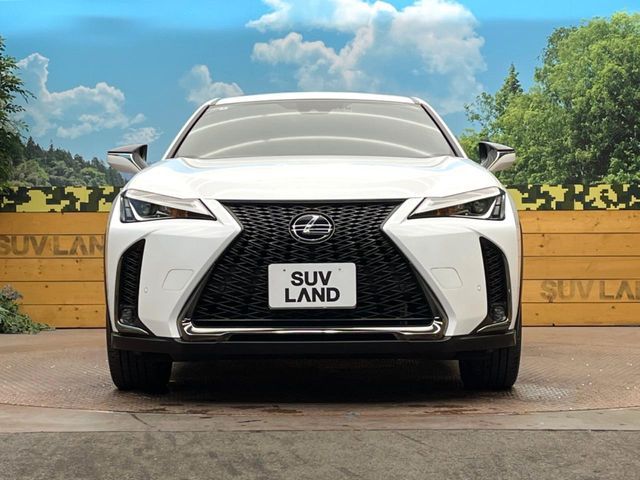 LEXUS UX250h