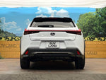 LEXUS UX250h