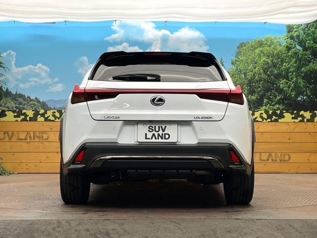 LEXUS UX250h