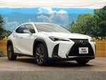 LEXUS UX250h