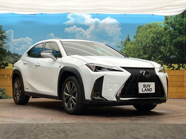 LEXUS UX250h