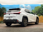 LEXUS UX250h