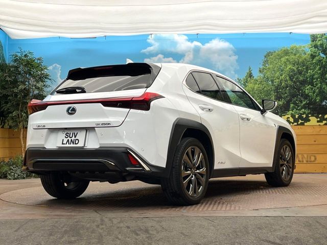 LEXUS UX250h