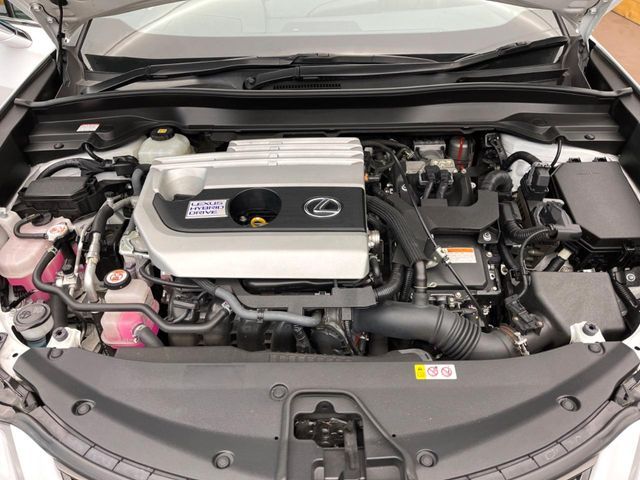LEXUS UX250h