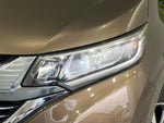 FREED plus HYBRID