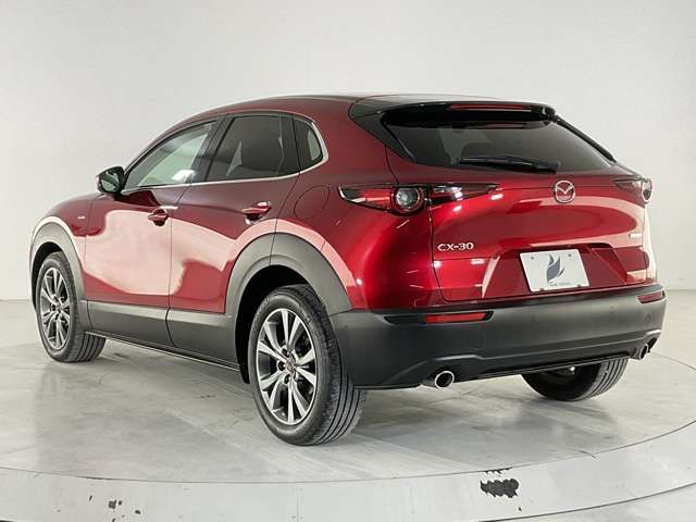 CX-30