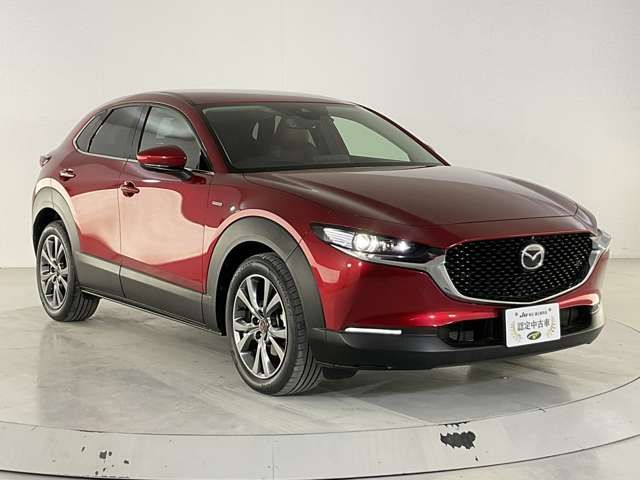 CX-30