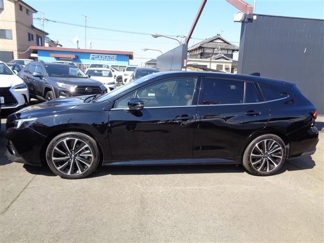 LEVORG