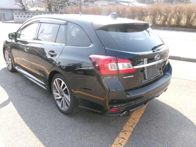 LEVORG