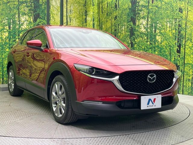 CX-30