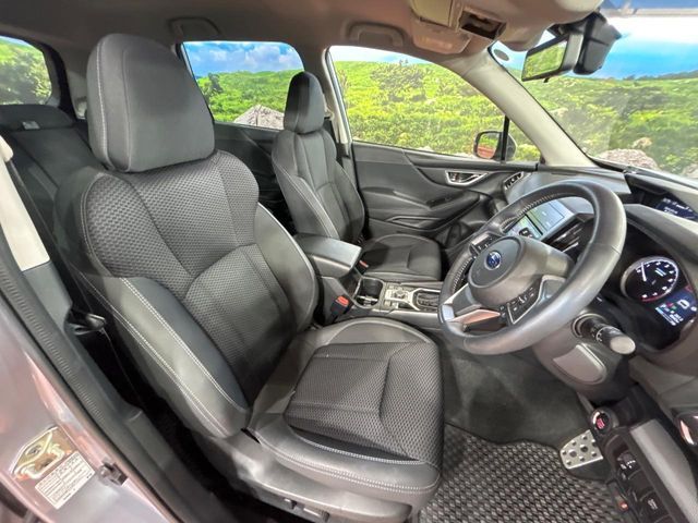 FORESTER