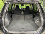 RAIZE HYBRID