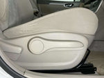 Sylphy