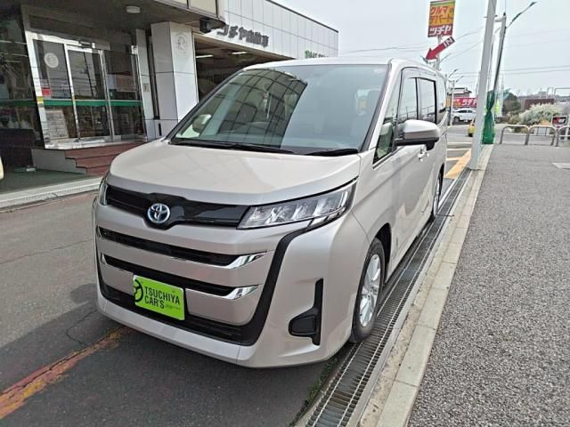 NOAH HYBRID