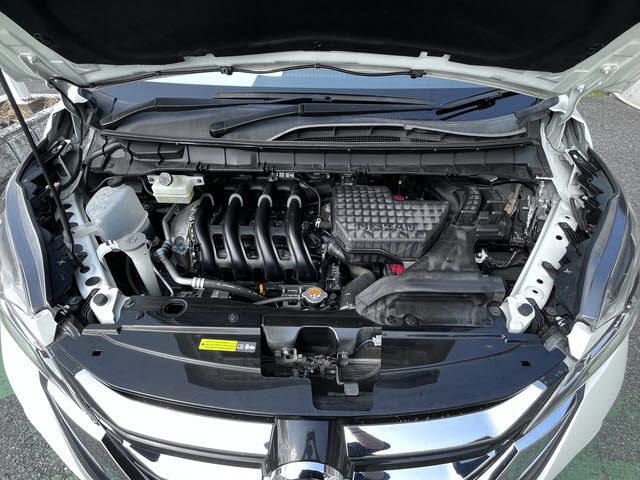 SERENA  S-HYBRID
