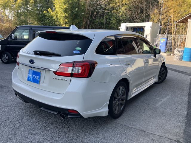 LEVORG