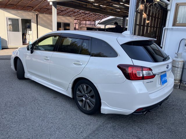 LEVORG