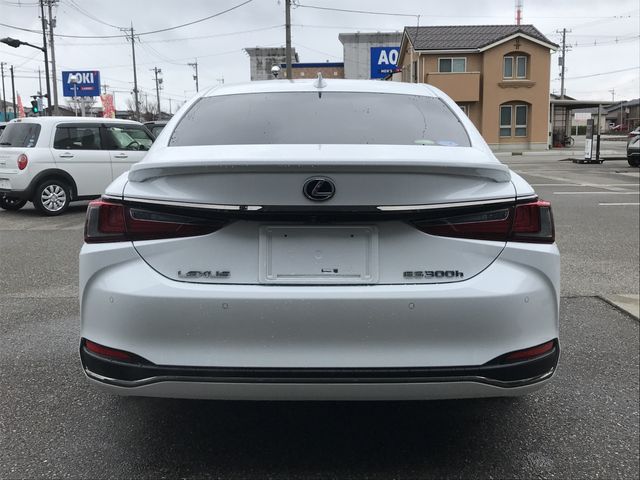 LEXUS ES300h