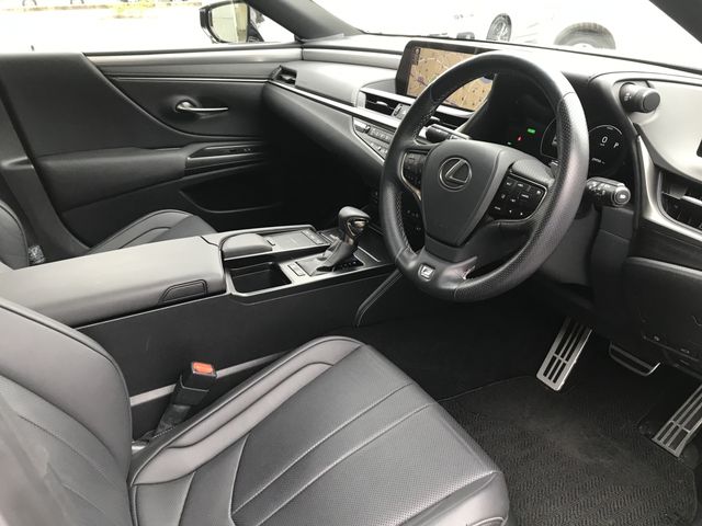 LEXUS ES300h