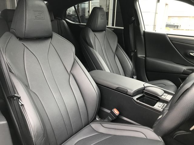 LEXUS ES300h