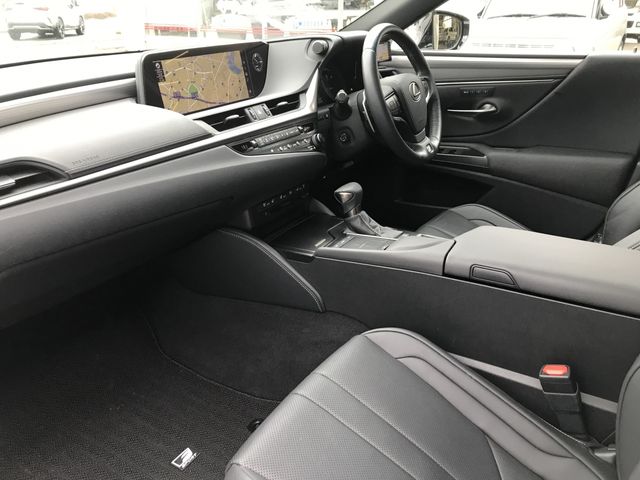 LEXUS ES300h