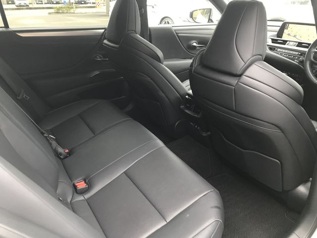 LEXUS ES300h