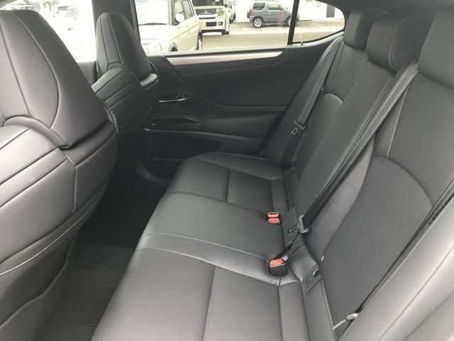 LEXUS ES300h