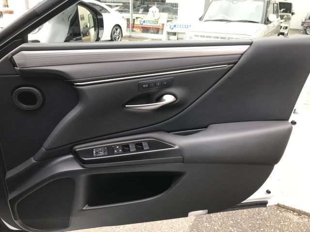 LEXUS ES300h