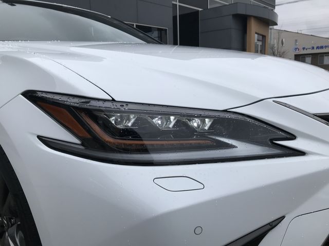 LEXUS ES300h