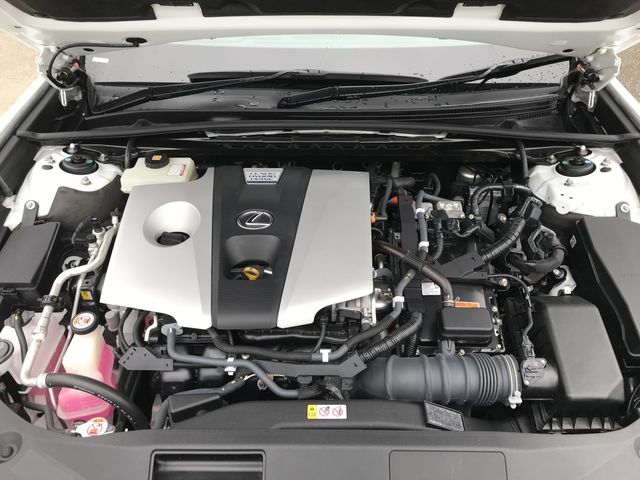 LEXUS ES300h