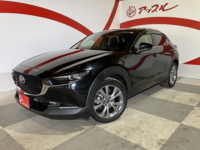 CX-30