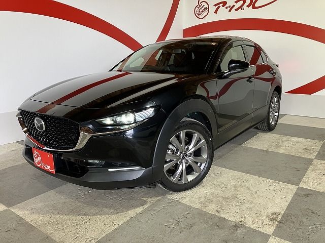 CX-30