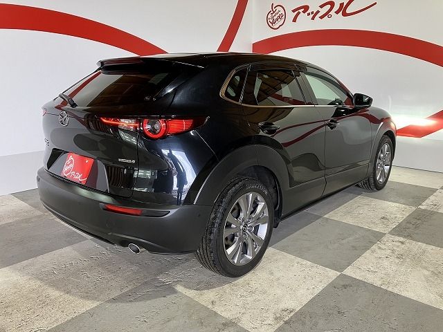 CX-30
