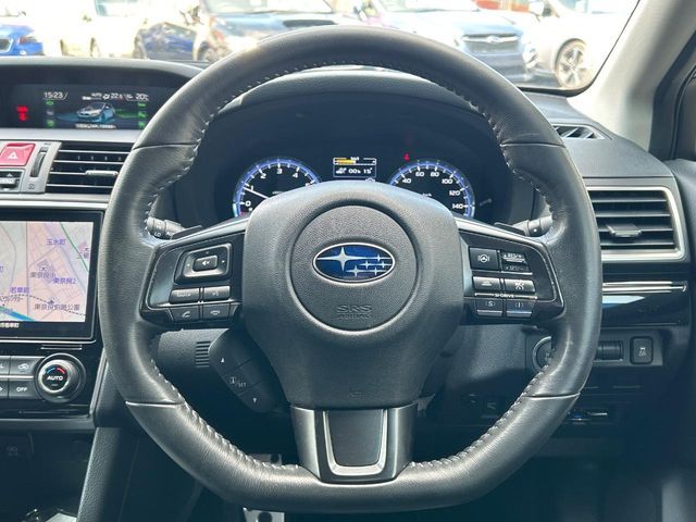 LEVORG