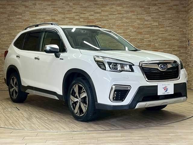 FORESTER