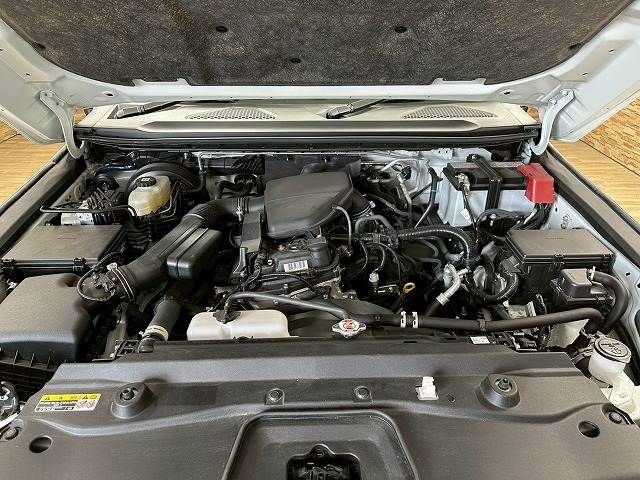LANDCRUISER 250