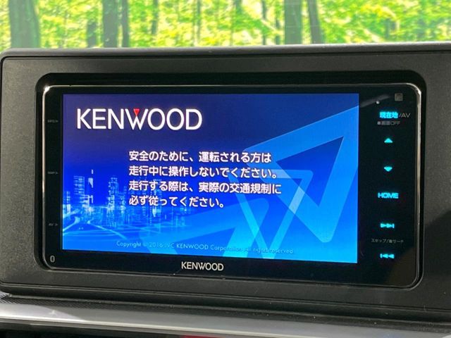 RAIZE HYBRID