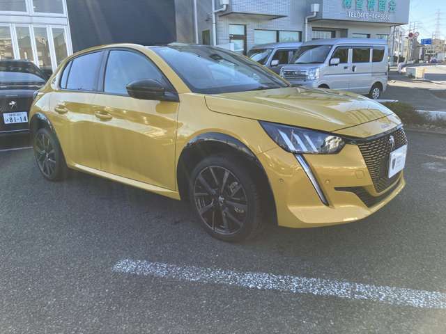 PEUGEOT e-208