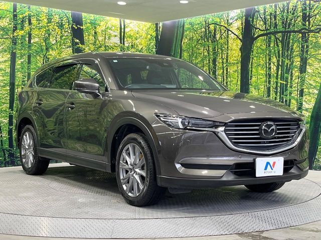 CX-8