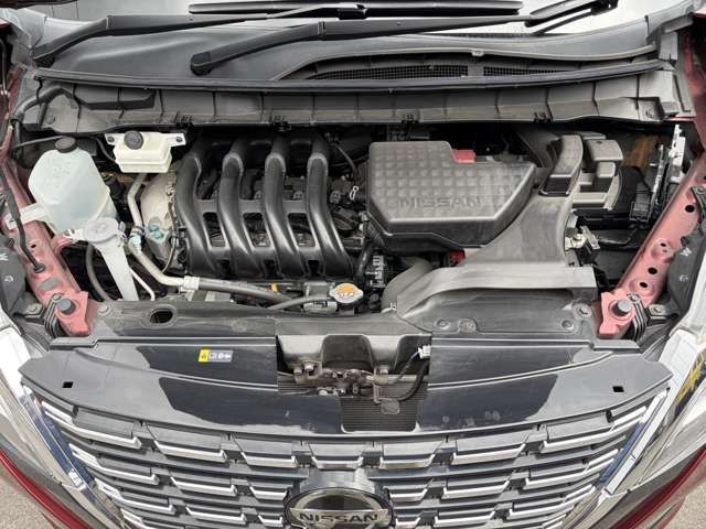 SERENA  S-HYBRID