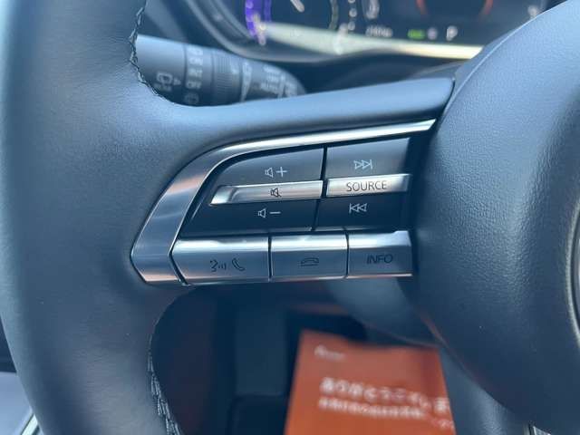 MX-30 Rotary-EV