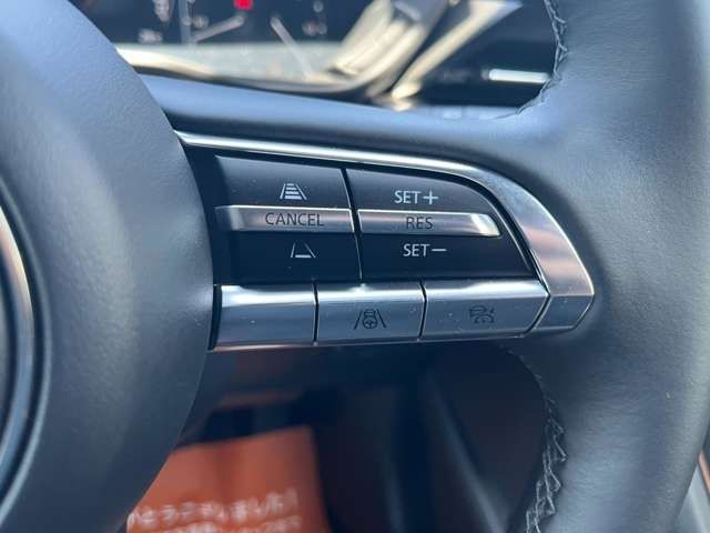 MX-30 Rotary-EV