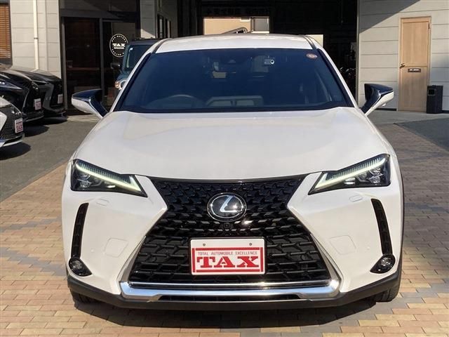 LEXUS UX250h