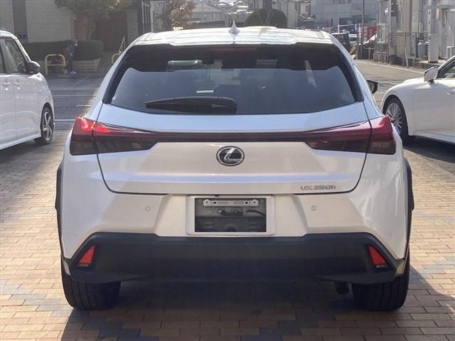 LEXUS UX250h
