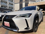 LEXUS UX250h