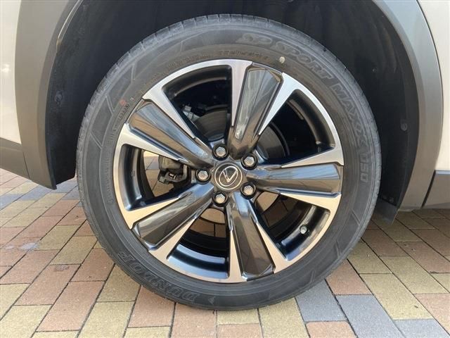 LEXUS UX250h