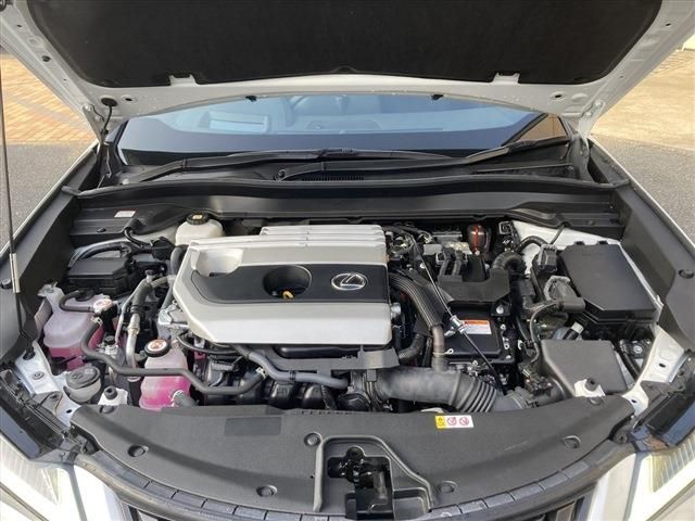 LEXUS UX250h
