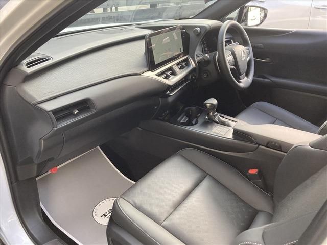 LEXUS UX250h