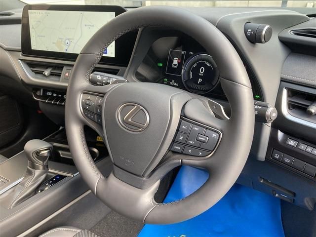 LEXUS UX250h