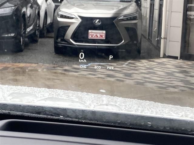 LEXUS UX250h